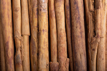 Cinnamon sticks in row as background. Top view, close-up.