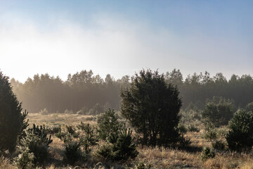 morning in the mountains