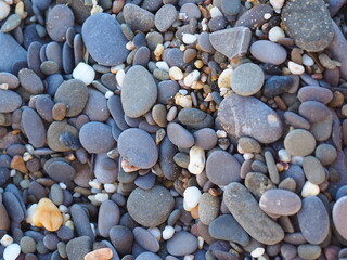 sandy beach by the sea