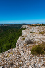 Fototapeta na wymiar Landscape at the top of the mountain on a summer day with vegetation and trees and rocks with bright blue sky in Catalonia, Spain