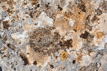 Flat stone background with different gray and white tones in the middle of nature illuminated with sunlight