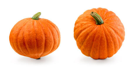 Fresh pumpkins isolated. Two organic orange pumpkins on white background. Set cut out with clipping path