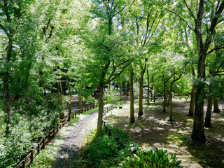 三宿・世田谷公園・SL線路