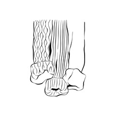 Cozy sweaters vector illustration, linear style, side view. Hand drawn   clipart of cardigan`s knitted sleeves isolated on white background. Good for icons, label, poster, print, blogs, cards.