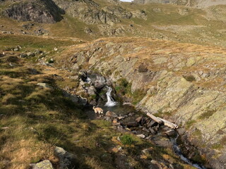 little dog playing in a river in the pyrenees
