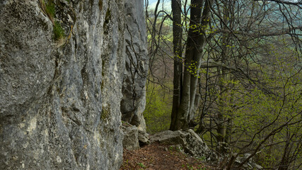 A footpath on a hiking route that passes along a vertical stonewall. Capatanii Mountains, Carpathia, Romania 