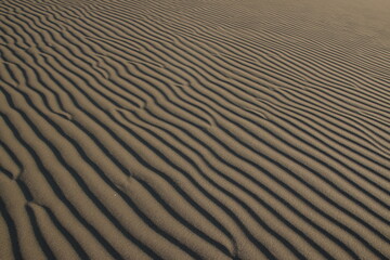 Sand texture. Abstract texture. line wave. Desert sand