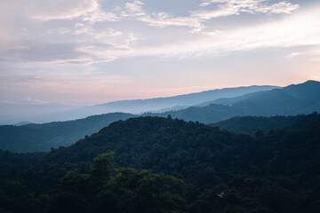 Mountains and green trees during the day