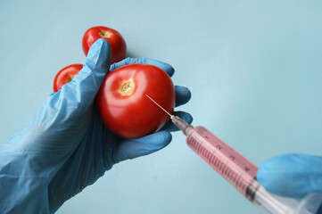 Tomato and syringe with GMO in hands on a blue background.