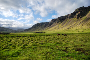 Naklejka premium Iceland