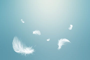 White feathers floating in the sky with sunlight pastel