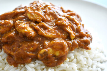 Chicken Tikka Masala with rice.  Copy space is on the right side. 