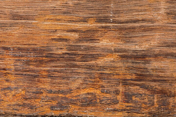 Detailed closeup macro photo of wood, texture background.