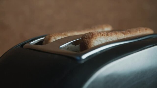 Two slices of light bread spring out from metal toaster slots close up. Popping pieces of bread
