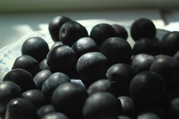 harvested plums on a plate macro