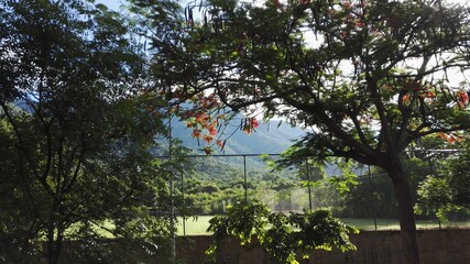 A day out in Ooty