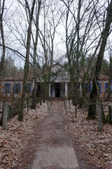 The facade of an abandoned kindergarten in the Chernobyl radioactive zone. Autumn foliage on the ground. Trees in front of an old abandoned house in the radioactive exclusion zone.