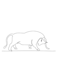  isolated, one line drawing bull, sketch