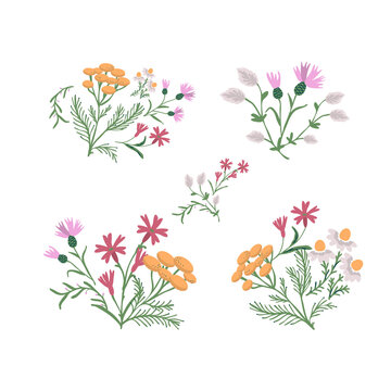 Wild flowers set