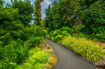 Verdant Garden Path vert