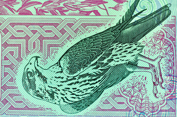 Close-up United Arab Emirates Currency, Dirhams and fils, Dubai, Abu Dhabi