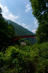 春木川にかかっている羽木橋