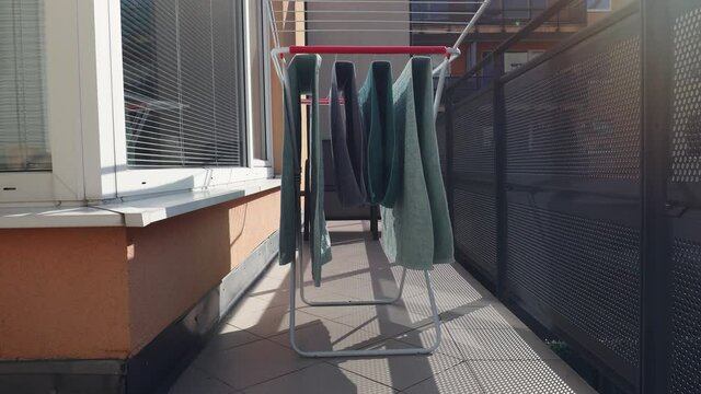 Domestic life with dog. Labrador Retriver walking  through drying towels on balcony.