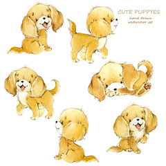 Cute funny cartoon dogs. watercolor puppy pet characters set