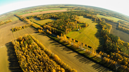 Aerial photography of the autumn forest and fields in Russia.
