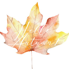 watercolor autumn maple leaf with Hello autumn lettering
