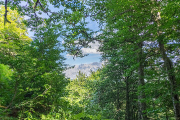 View of the mountains of the Picos de Europa National Park among the oak trees of the forest, in the Valdeon area in Leon, Spain