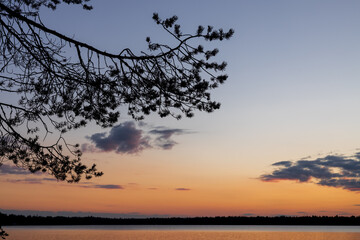 Scenic Silhoutte of branch of a pine tree against sunset dusk blue and orange sky with clouds over a lake, Finland