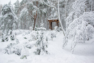 Beautiful winter park. Trees covered with fresh snow. Wood alcove on background