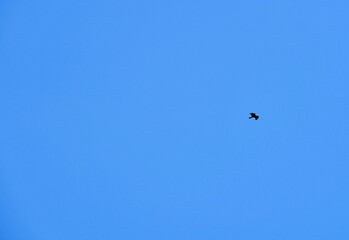 青空