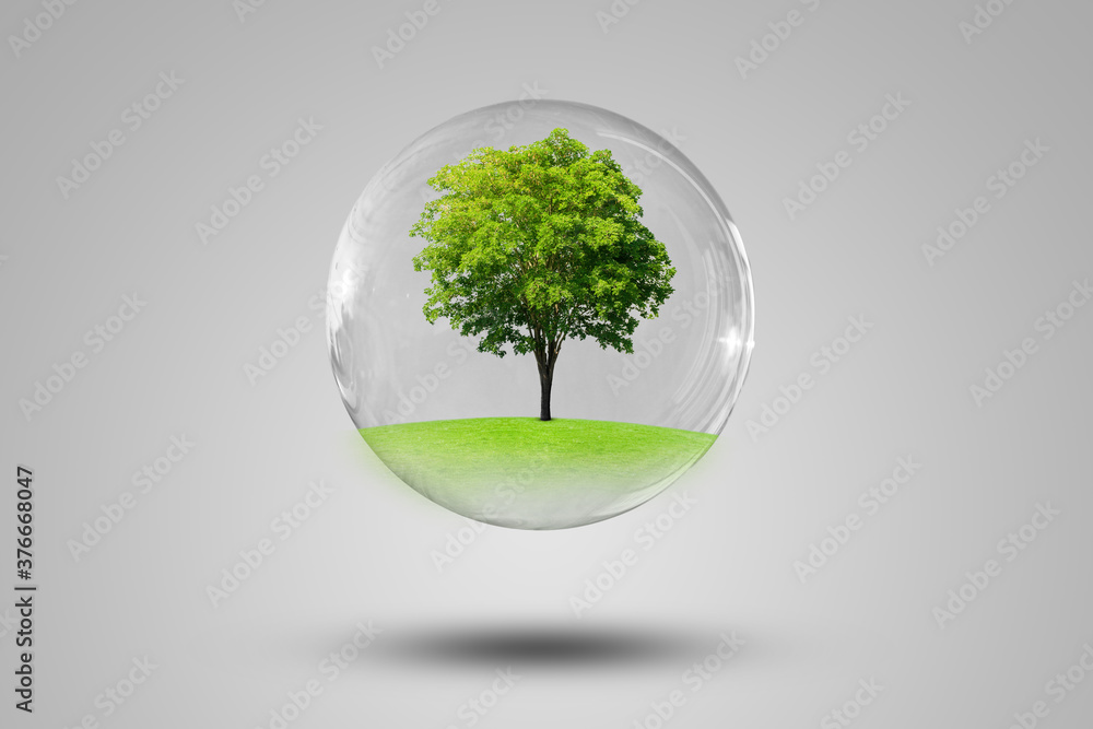 Poster ecology and environmental concept : green tree growth thru grass meadow field in water bubble on gra