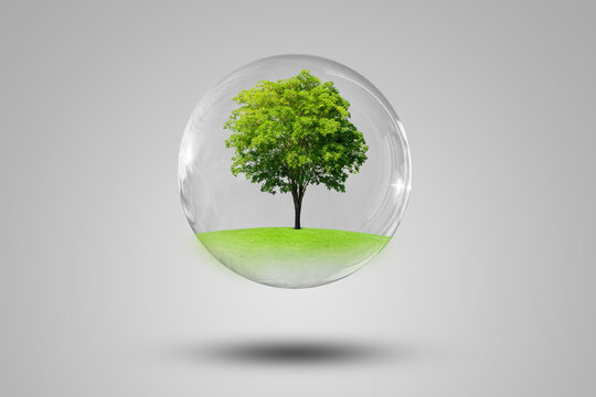Ecology and Environmental Concept : Green tree growth thru grass meadow field in water bubble on gray background. (Clipping path)
