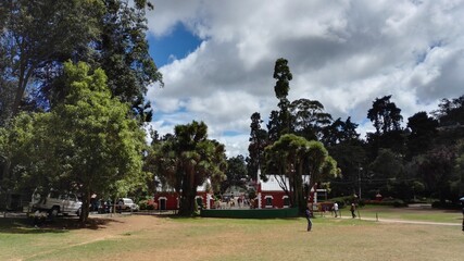 Naklejka premium A day out at Ooty