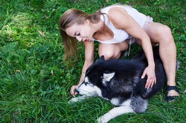 Naklejka na ściany i meble young beautiful girl next to a husky dog in the park..Girl communicates with her dog
