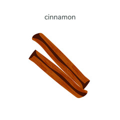 Vector illustration of dry cinnamon stick spice isotated on white background. Hand drawn illustration with textures.