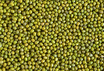 Mung bean seed or Green beans background , background pattern,Top view.