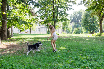 Obraz premium young beautiful girl runs with a husky in the park. The blonde plays with the dog.
