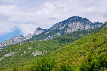 Fototapeta na wymiar Summer landscape – Albanian mountains, covered with green trees, clouds on blue sky