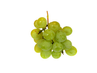 ripe grapes isolated on white background