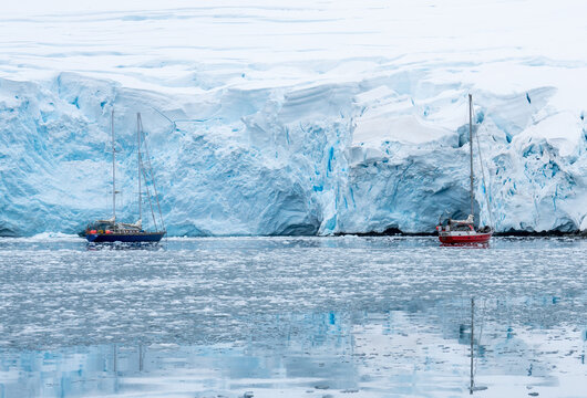 รูปภาพFournier เลือกดูภาพถ่ายสต็อก เวกเตอร์ และวิดีโอ99 Adobe Stock