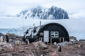 Antarctica, Peninsula: On Wiencke Island in Februar 2020. Wooden building and Penguins at Port...