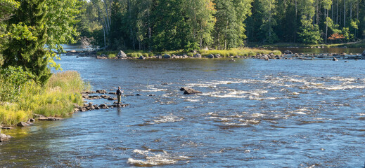 Flyfisherman using flyfishing rod in a river. Farnebofjarden national paek in Sweden.