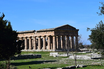 Fototapeta na wymiar templi di paestum