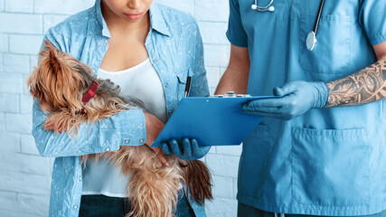 Female dog owner signing pet surgery consent form at vet clinic, closeup