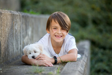 Child, cute boy, playing with dog pet in the park, maltese dog and kid enjoying friendship