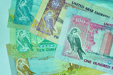 Close-up United Arab Emirates Currency, Dirhams and fils, Dubai, Abu Dhabi